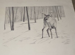 lot 155 image: Limited Edition Buck Pencil Drawing by S. Weber