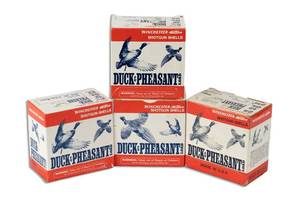 Winchester 12 gauge Shells