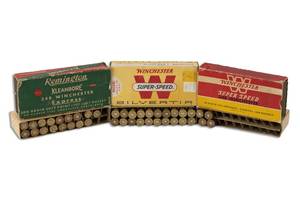 348 Winchester Ammo