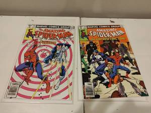Amazing Spider-Man with Punisher #201 & #202