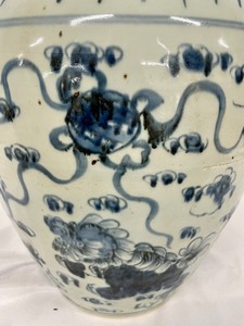 Chinese Blue and White Porcelain Vase with Lion Dog Design