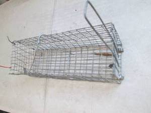 lot 166 image: used live trap ...