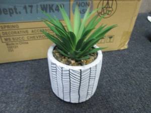 8 Faux Succulent Plants in Chevron ...
