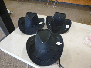 3 CowboyAussie Hats