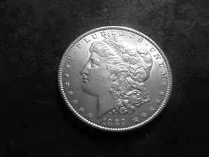 1889 Morgan Silver Dollar