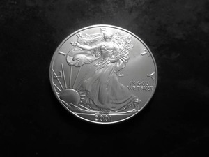 2001 Eagle Silver Dollar 1 Oz. .999 Fine