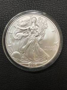 2004 American Eagle 1 Ounce .999 Silver