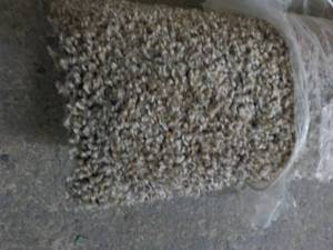 Carpet Remant 12 ft wide - length u...