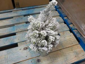 Flocked 20 High Xmas Tree...
