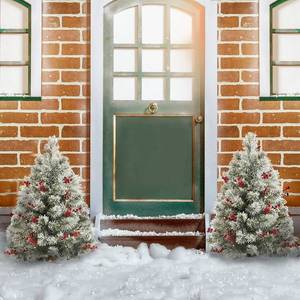 OasisCraft  Pre-Lit 2 Flocked Outdoor Christmas Tree wRed Berries & Pine Cones, Set of 2