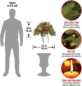National Tree Company 18 Frosted Urn Filler with Cones, Red Berries