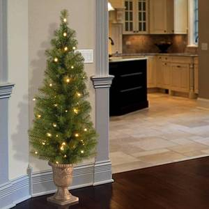 National Tree Company 4 Pre-lit Artificial Tree