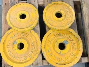 lot 42 image: 70 Pounds of NDSU Bison Weights
