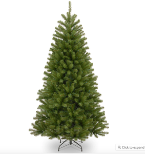 lot 167 image: National Tree Company 6 North Valley Spruce Tree - N