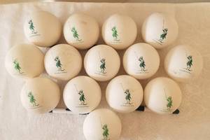 lot 99 image: Palm Beach Polo Club Polo Ball Collection