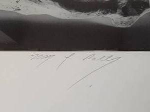 lot 120 image: Ancient Profile Photography
