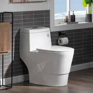 lot 119 image: WOODBRIDGE Everette 1-Piece 1.01.6 GPF High Efficiency Dual Flush Elongated Toilet, Map Flush 1000 Grams and WaterSense Toilet
