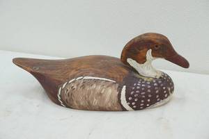 wood duck