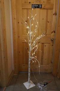 birch tree