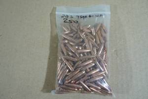 lot 169 image: 250 .223 75 Gr BT HP Bullets