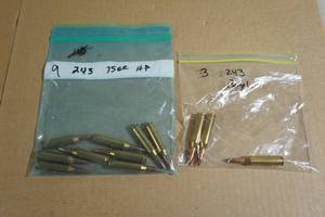 lot 75 image: 12 Reloaded .243 Win Ammo - 9 HP, 3 Purple Tip