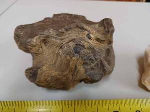lot 92 image: Two 5-inch Uniquely Formed RocksAgates