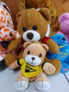 lot 95 image: 3 Beanie Baby Type Bears Go Team, Arizona and an Allen Iverson #3, and 5 Stuffed Teddy Bears