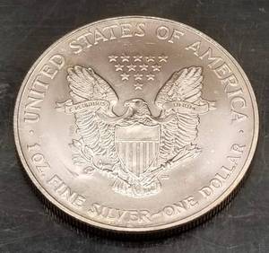 2003 AMERICAN SILVER EAGLE 1 TROY OZ .999 FINE SILVER WARM TONING