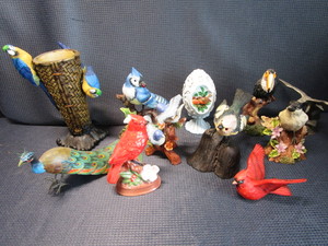 Birds