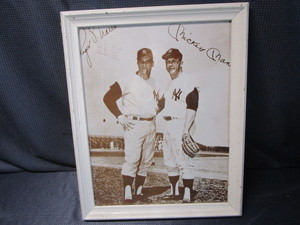 Baseball Photo