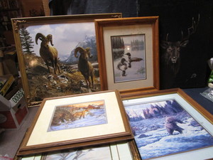 Wildlife Prints