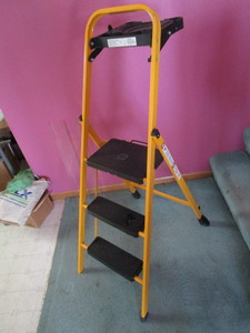 Folding Ladder