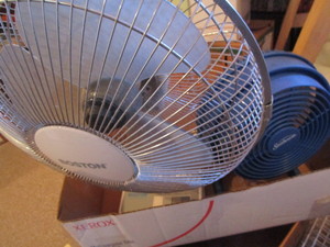 Fans