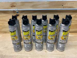 lot 112 image: RAID MAX Lot of 11 Bottles of- 77726 Insect Killing Foam Wasps & Hornet, 13 Oz each