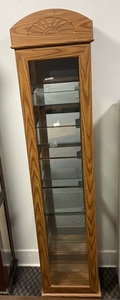 Glass lighted curio
