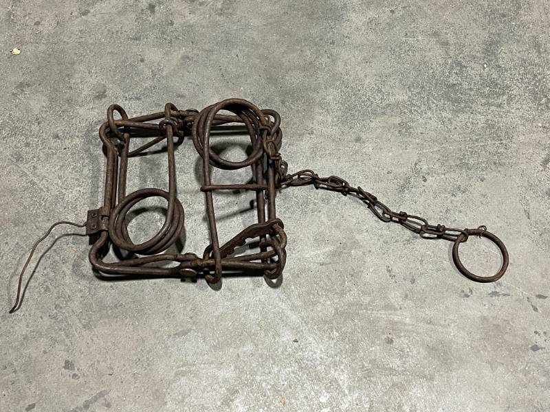 lot 67 image: 2 - 110 Conibear Traps