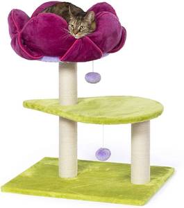 lot 712 image: Prevue Pet Products Kitty Power Paws Flower Power Cat Scratching Post