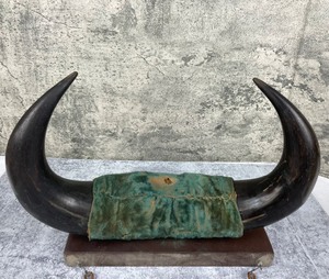 lot 195 image: Mounted and Polished BullSteer Horns