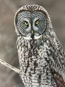 lot 262 image: Outstanding Owl Art