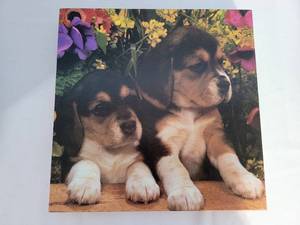 lot 196 image: Fun Puzzle Selection