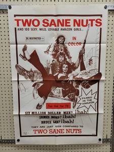 lot 1410 image: 1974 Two Sane Nuts Original One-Sheet Movie Poster - Vintage Sexploitation Film - 27 x 41 - Folded