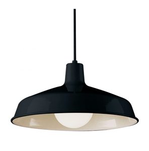lot 110 image: Trans Globe 1100 BK Pendant Light