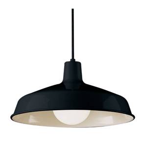 lot 118 image: Trans Globe 1100 BK Pendant Light