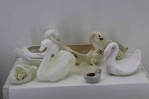 Swans
