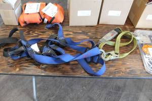 lot 261 image: Safety Strap and Gemtor Harness