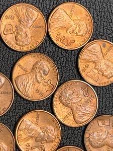 lot 41 image: 1976 Lincoln State Cents