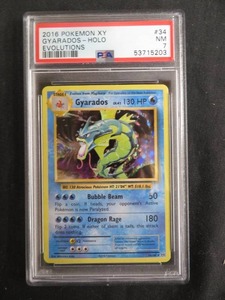 2016 POKEMON XY  GYARADOS - HOLO  EVOLUTIONS