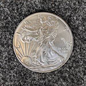 2020 1oz .999 Fine Silver $1 American Eagle