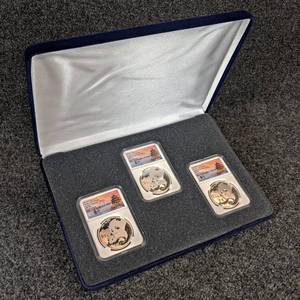 Set of (3) 2019 1oz .999 Fine Silver Chinese Panda Coins - All are Graded First Release MS-70, Includes 2019(G), 2019(S), 2019(Y)