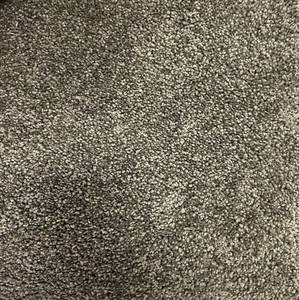 12 x 22 (264 sq ft) Tuftex Go Ahead II Smoked Pearl Carpet Remnant